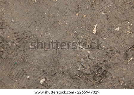 Background of Dirt. Texture of ground after rain.