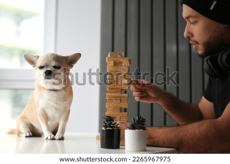 stylish teenager playing board game with his dog at home, stylish friends. Children spend interesting and useful leisure time