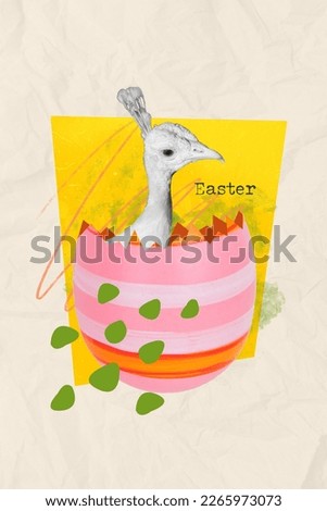 Poster banner collage of newborn baby chicken hatch from painting egg shell magic easter holiday symbol