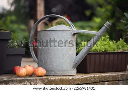 Vintage photo of a metal watering can in the autumn edition.