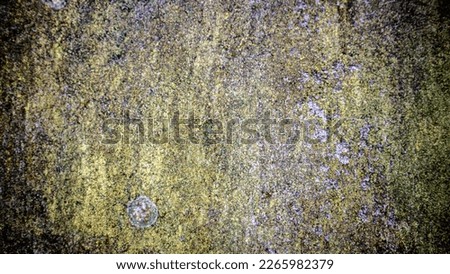 walls with faded green paint