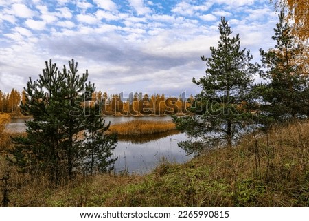 Autumn landscape on a cloudy day, on the lake. Pavlovsk, Leningrad Region, Northwest Russia