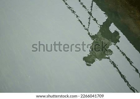 Girl's reflection on the lake surface with grass on the bottom of the lake Royalty-Free Stock Photo #2266041709