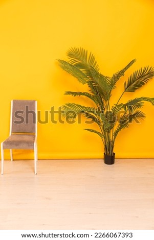 gray chair and green plant in a pot in a room against a yellow wall interior furniture