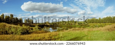 Summer panoramic landscape with pond and green trees at sunset