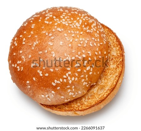 Sesame seed hamburger buns on white background. File contains clipping path.
