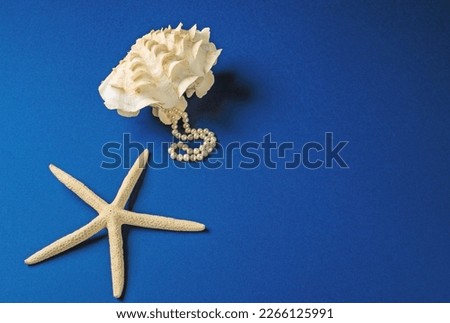 Postcard template with sea shore, sea clam shell and starfish on blue background.Mock up.