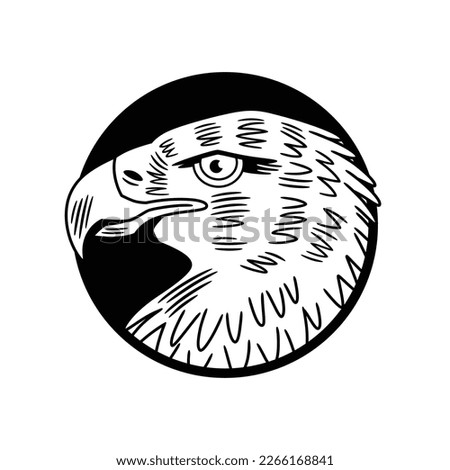 Vector illustration of the head of an eagle, framed in a circular shape, in black and white and outlined.