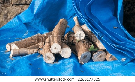 Firewood on a blue plastic sheet