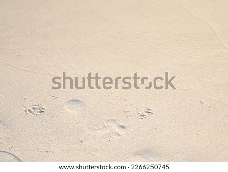 footprint on beach sand top view
