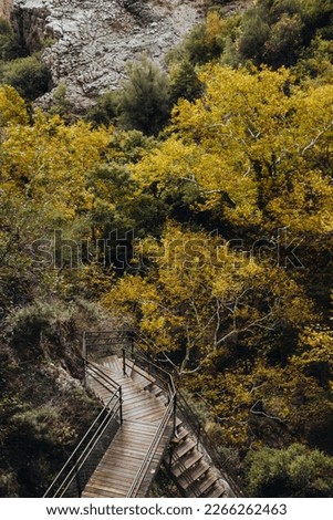 Wooden trail with steps in autumn in Sapadere Canyon, Turkey, Antalya, Alanya, Fall mountain view with stairway