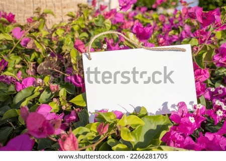 bougainvillea flowers and leaf with white hanging picture sign with empty free space for template or blank copy area