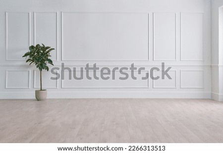 White classic wall background, brown parquet floor, home furniture detail, frame and vase of plant. Royalty-Free Stock Photo #2266313513