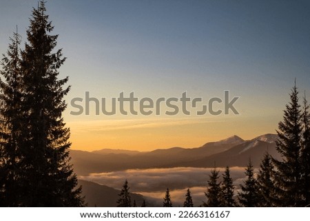 Peaceful sunset view on mountain ranges and spruces landscape photo. Above clouds. Nature scenery photography. Ambient rim light. High quality picture for wallpaper, travel blog, magazine, article