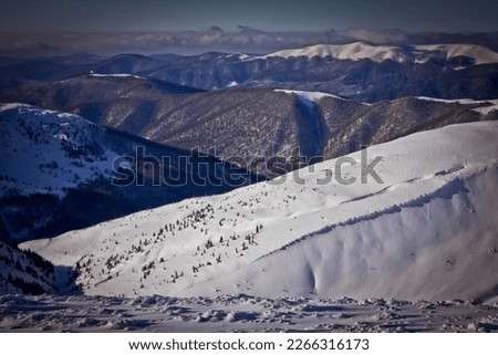 Carpathian snow capped mountains with spruces landscape photo. Nature scenery photography with blurred background. Ambient light. High quality picture for wallpaper, travel blog, magazine, article