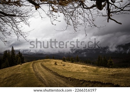 Hill with tire marks and spruces landscape photo. Nature scenery photography with mountains, clouds on background. Ambient light. High quality picture for wallpaper, travel blog, magazine, article