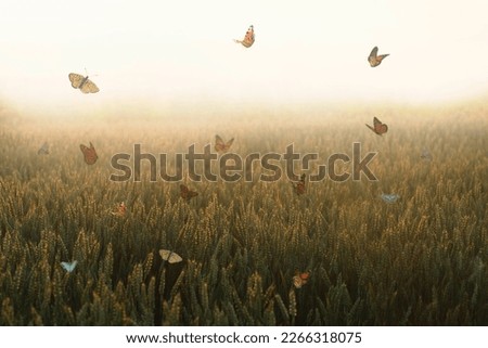 harmonious colorful butterflies dancing in a sunlit meadow Royalty-Free Stock Photo #2266318075