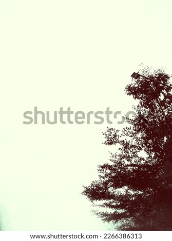 Defocused abstract background of tree. A tree with a summer atmosphere like in a cartoon world