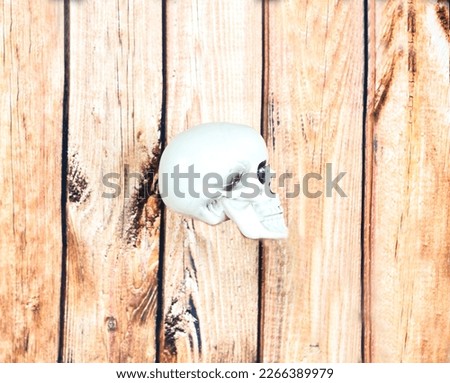 Skull head isolated on a wooden background