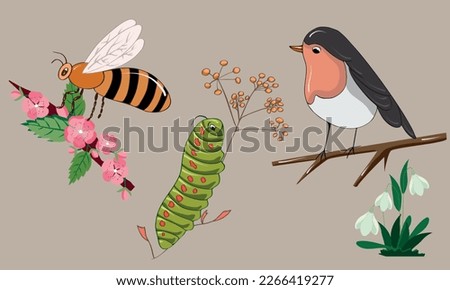 Vector Flat Illustration of a Bird, Bee, and Goose