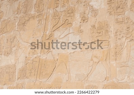 Wall with ancient painting in Luxor, Egypt. Pharaoh Hatshepsut mortuary temple 