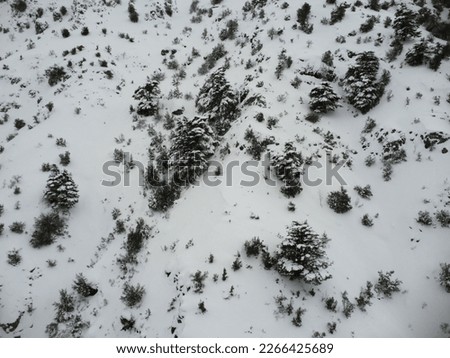 Aerial pictures of Mediterranean mountains and forests covered with snow 