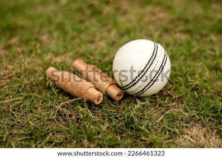 Cricket ball and bail on green grass playing ground pitch