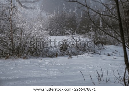 Winter landscape in the mountains, snow-covered forest on the mountain hiking trail, view on a sunny and foggy day.