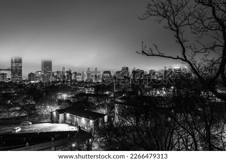 Atlanta City Skyline, retro-style monochromatic landscape, at foggy dawn, with Illuminated Downtown Skyscrapers and Buildings over the Trees of the Old Fourth Ward in Georgia