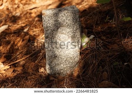 Lyrics s marked in stone in the middle of the forest