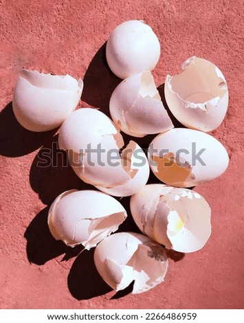 Eggshells egg shell shells of eggs broken egg outer covering semipermeable membrane made up of calcium carbonate coquilles doeufs view cascaras huevo image cascas ovo picture gusci duovo photo 
