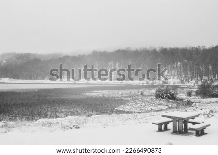 a picture during winter snow