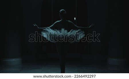 Cinematic shot of beautiful ballerina in ballet dress dancing in front of window in dark theater lobby at night. Female ballet dancer rehearses and makes graceful movements. Ballet art. Black swan. Royalty-Free Stock Photo #2266492297