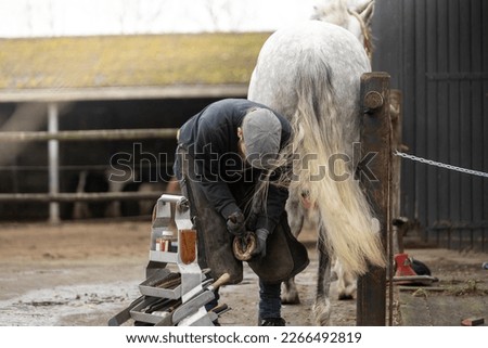 male barefoot horse farrier trimming Royalty-Free Stock Photo #2266492819