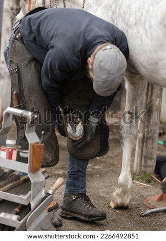 male barefoot horse farrier trimming Royalty-Free Stock Photo #2266492851