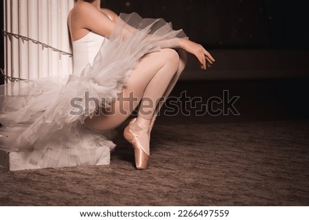 Ballerina dancer, tutu dress, legs, feet and ballet shoes Royalty-Free Stock Photo #2266497559