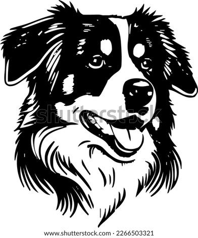 Australian Shepherd, dog head, vector illustration, black color, vector image