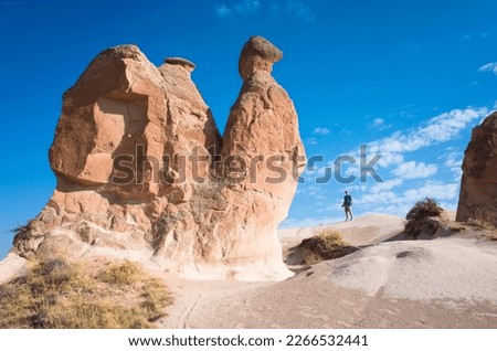The Camel at the Devrent Valley or Imagination valley in Cappadocia, Tourist standing next to famous rock formation in Goreme National Park, Turkey travel