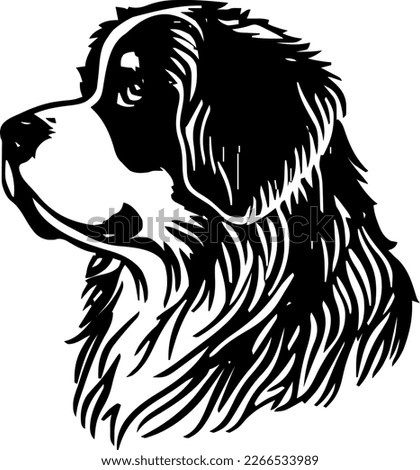 Bernese Mountain Dog outline only, dog,illustration, black color,image, dog head, vector illustration, black color, vector image