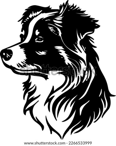 Australian Shepherd outline only, dog head, vector illustration, black color, vector image
