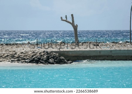 Maldives island or tropical island with white sandy beached and blue sky and blue waters with sunny side of life with tourist attractions and green trees