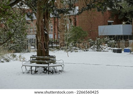 Scenic view of a garden covered in fresh white snow