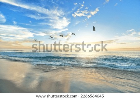 beach birds sea-ocean flying birds Royalty-Free Stock Photo #2266564045