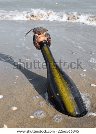 beached bottle with secret message inside and the crab on top by the sea