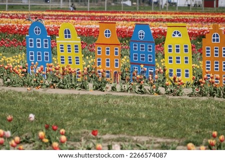 A fake village standing in a field of vibrant tulips that are growing from the ground.