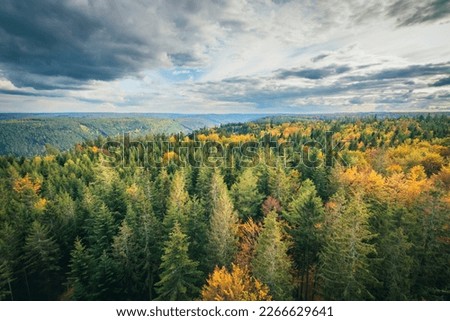 Scenic view over Black Forest, Germany near Bad Wildbad in autumn colors Royalty-Free Stock Photo #2266629641