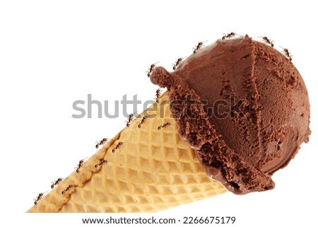 picture of chocolate ice cream white background with many red ants clinging to sugar lumps Suitable for use in advertising media, food, educational media and insects.
