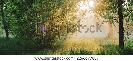 Scenic sunny green landscape. Scenery of morning nature in sunlight. Trees silhouettes on sunrise. Sunbeams and lens flare on foliage with copy space. Bright sun shines through trees leaves on sunset. Royalty-Free Stock Photo #2266677887