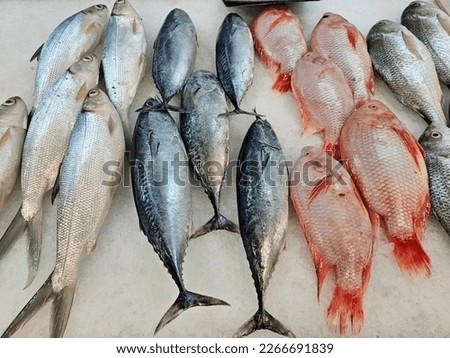 Pictures of fresh fishes being sold in a wet market.
