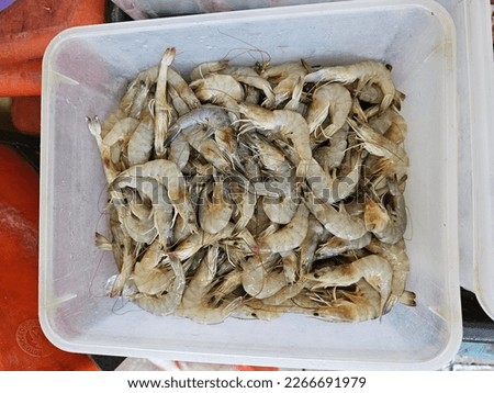 Pictures of fresh prawns being sold in a wet market.